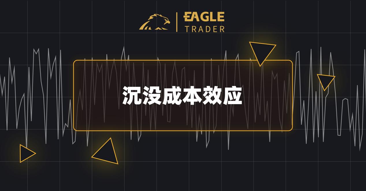 �㶫�������������app